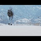 温时年