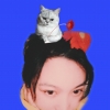 CAOHUIJING