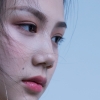 大树是只猫