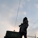 野生的大表哥