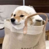 青汁