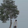 老季824