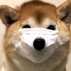 小魔龙