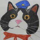 猫猫队长