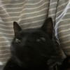 白开