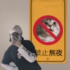 啾啾要早起
