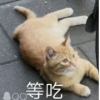 切开的土豆