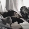 许弈