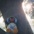 有钱就吃肯德基_