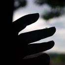 山口野仁