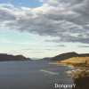 DongnaY