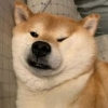 nin还好吧