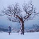Hokkaido