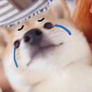 桑