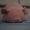 Or