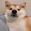 何一