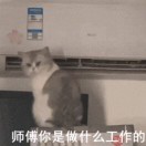 王帅