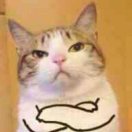(￣ー￣)