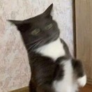 川下穷江