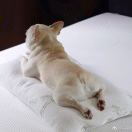 小陈小陈脚踩三轮