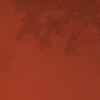 RAW_LYCHEE