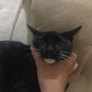陈眠