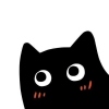 黑猫先生