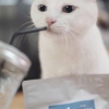 郭