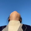 道理我都董