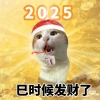 神经蛙