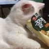 李磨叽丶