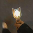 阳光彩虹小白 马同学.