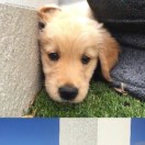 :D