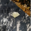 雨雨alei