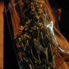 丁走心