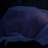 A小夜