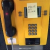 芮