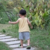 小夏夏夏夏夏夏夏
