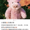 __墙上向日葵