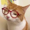 kkikyoooo