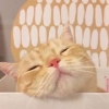 好想恰火锅