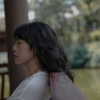 舒打