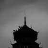 邵ZJ