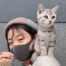 茹鸢