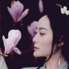 乘坐11路公交车的中古相机