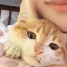 木栖溪
