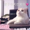 北宇抱不动的女子
