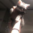 凸^-^凸