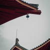徐特