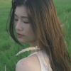 谦虚的小绵羊